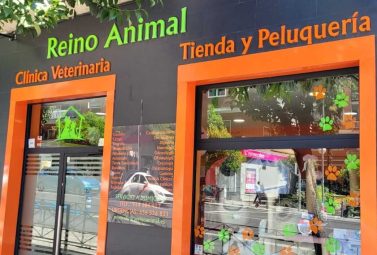 CV Reino animal 1(1)