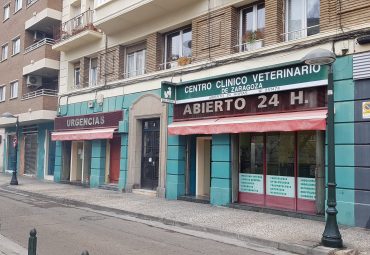 Centro clinico vet zaragoza