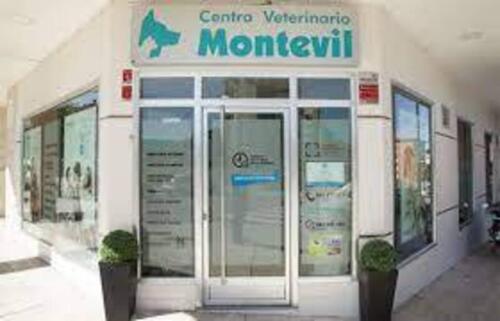 Montevil-1 (1) (1)
